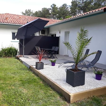 Chambre D'Hotes Du Pin Pey Exterior photo