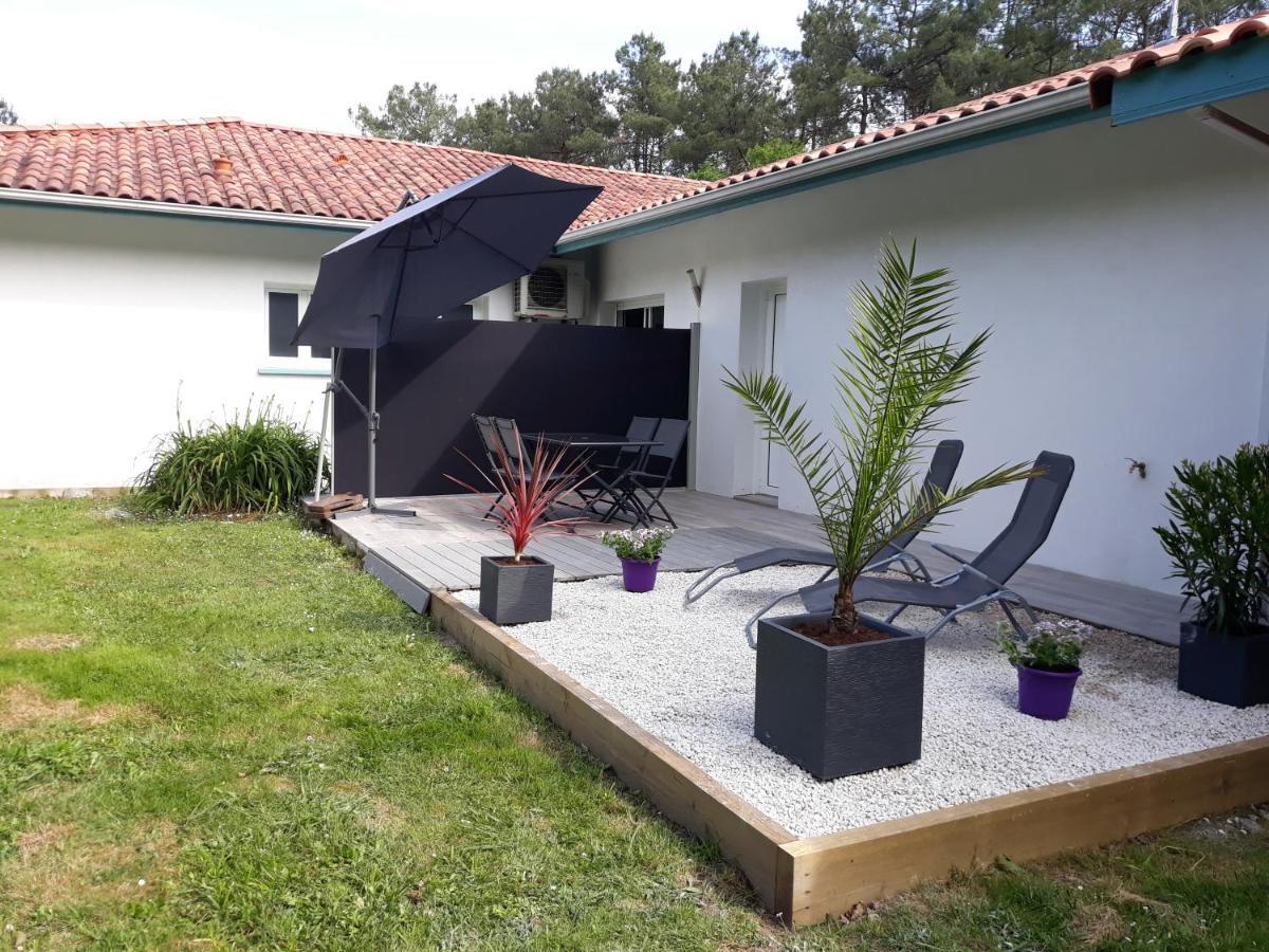 Chambre D'Hotes Du Pin Pey Exterior photo